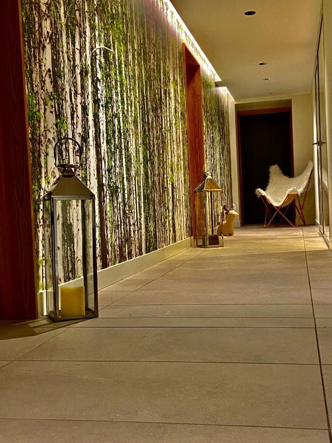 Chalet Pleine Vue & Spa Σαμονί Εξωτερικό φωτογραφία