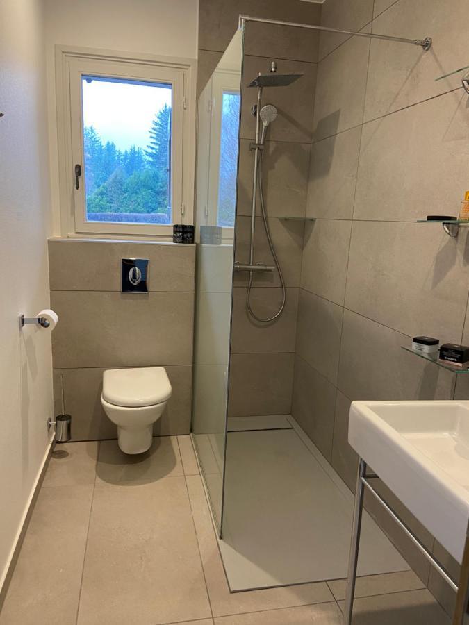 Chalet Pleine Vue & Spa Σαμονί Εξωτερικό φωτογραφία