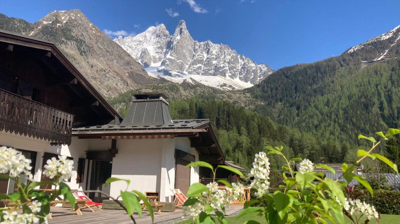 Chalet Pleine Vue & Spa Σαμονί Εξωτερικό φωτογραφία